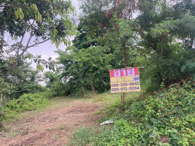 ขายที่ดิน 2ไร่  ซอยคลองห้าตะวันออก38  คลองหลวง  ปทุมธานี