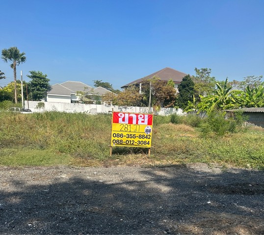 ขายที่ดิน 281ตารางวา   สุขาภาบาล 5 ซอย32แยก3  ออเงิน สายไหม  กรุงเทพ