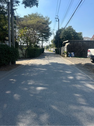 ขายที่ดิน 281ตารางวา   สุขาภาบาล 5 ซอย32แยก3  ออเงิน สายไหม  กรุงเทพ