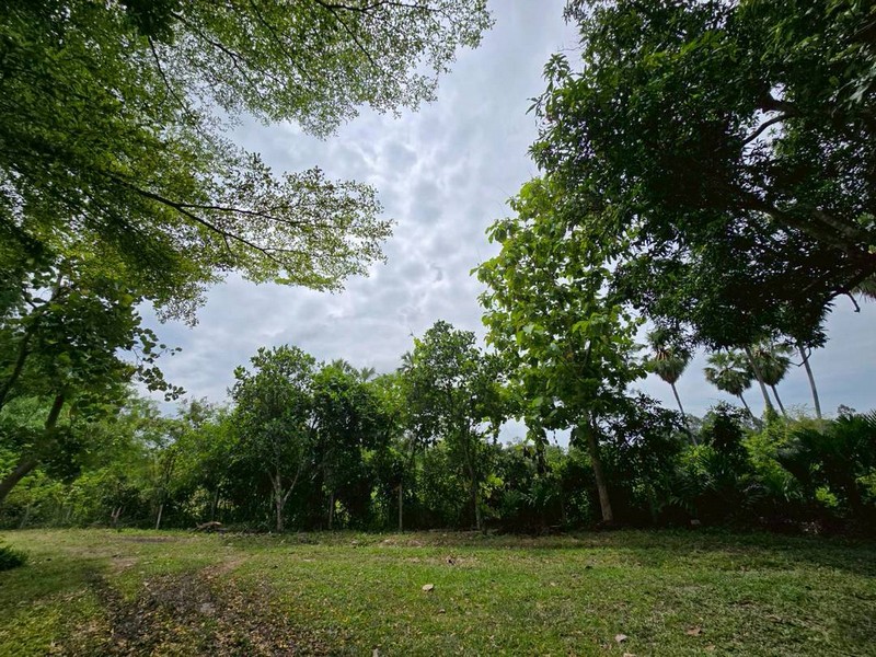 ขายที่สวนใกล้ จปร. แถมบ้าน 2 หลัง ต.ศรีกระอางค์ อ.บ้านนา จ.นครนายก บรรยากาศร่มรื่น เงียบสงบ มีเพื่อนบ้านไม่วุ่นวาย เหมาะสำหรับคนรักสันโดษ