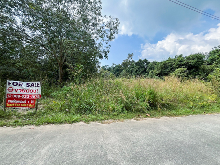 ขายที่ดิน 1 ไร่ ตลิ่งงาม เกาะสมุย ที่สวย เหมาะสำหรับทำรีสอร์ท ต.ตลิ่งงาม อ.เกาะสมุย จ.สุราษฏร์ ฯ