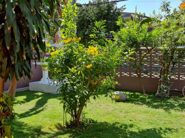 ให้เช่าบ้านเสรี8ถนนพระราม9ที่ดิน72ตร.ว288ตร.ม3นอน2น้ำแอร์5เครื่องเฟอร์นิเจอร์ครบ สวนสนามหญ้าบ้าน เช่า 38,000บาท/เดือน ใกล้ The nine พระราม9