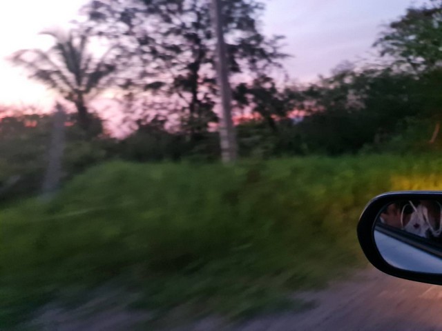 เลือกสรรทรัพย์ดีเติมเต็มชีวิต ขายที่ดินปากช่อง 2ไร่- 8ไร่ โฉนด ต.วังไทร อ.ปากช่อง จ.นครราชสีมา ไร่ละ  2.9 ลบ.สูงจากระดับน้ำทะเลมา น้ำไฟพร้อม