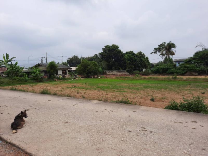 ขายที่ดินเปล่า ทำเลดี  ตำบลโพรงมะเดื่อ อำเภอเมืองนครปฐม จังหวัดนครปฐม