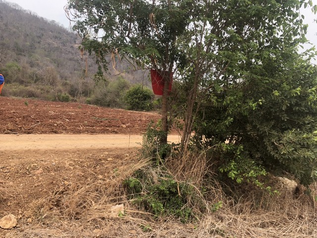 เลือกสรรทรัพย์ดีเติมเต็มชีวิต  ที่ดินติดภูเขา ต.พระนอน อ.เมือง จ.นครสวรรค์ วิวสวยมากๆๆ 5ไร่เศษ โทร 096-882-1857