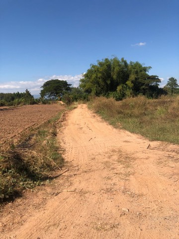 เลือกสรรทรัพย์ดีเติมเต็มชีวิต  ที่ติดแม่น้ำโขง ต.กุดบง อ.โพนพิสัย จ.หนองคาย  หลังติดแม่น้ำโขง ไร่ละ 2ล้านบาท โทร 096-882-1857