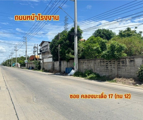 ขายที่ดินติดถนนผังสีม่วงกระทุ่มแบนติดถนนเส้นหลัก ถนนกว้าง ต.คลองมะเดื่อ อ.กระทุ่มแบน จ.สมุทรสาคร