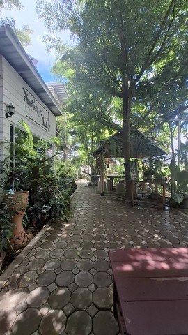 ขายบ้าน พร้อมธุริกิจร้านอาหาร 4.7ดาว ตำบลหางดง อำเภอหางดง จังหวัดเชียงใหม่