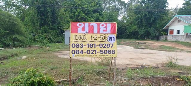 ขายที่ดินราคาถูก 1-2-50 ไร่  ติดถนนสายเลี่ยงเมือง  จอมทอง เมืองพิษณุโลก