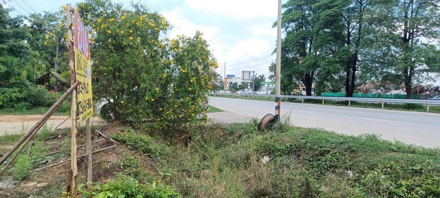 ขายที่ดินราคาถูก 1-2-50 ไร่  ติดถนนสายเลี่ยงเมือง  จอมทอง เมืองพิษณุโลก