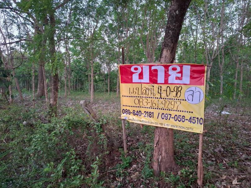 ขายที่ดินราคาถูก 4-0-98 ไร่  ติดถนนลาดยาง  บ้านเมืองบาง  วัดธาตุ  เมืองหนองคาย