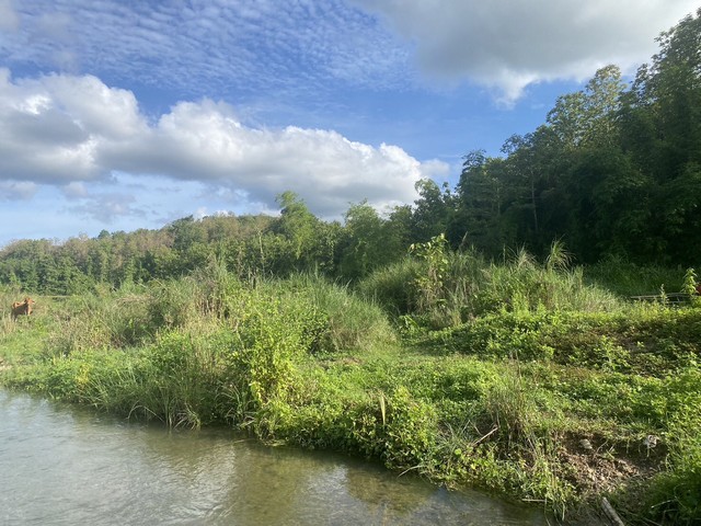 เลือกสรรทรัพย์ดีเติมเต็มชีวิต ขายที่ดินติดลำธารน้ำใสไหลริน ชุ่มฉ่ำตลอดปี สวยวิวล้าน 800000บาท 3-0-35ไร่ อำเภอสันติสุข น่าน