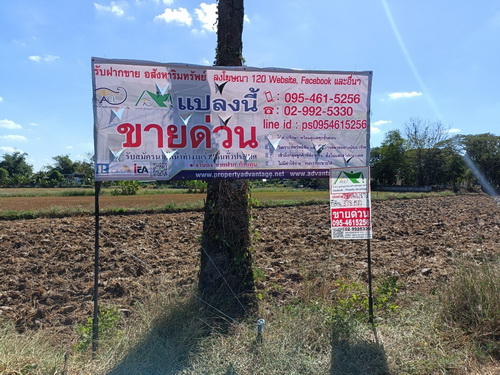 ที่ดิน 3 งาน 78.0 ตรว. ต.ขามทะเลสอ อ.ขามทะเลสอ จ.นครราชสีมา