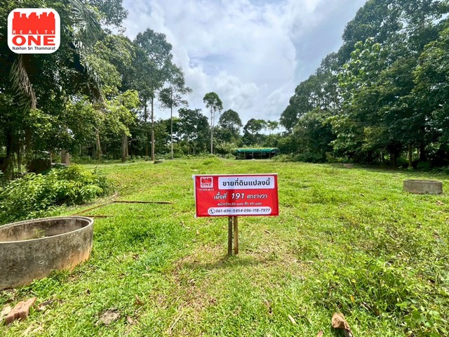 ที่ดินเปล่า 4 ห้อง เนื้อที่ 191 ตร.ว. ห่างจาก สนง. ขนส่งจังหวัด เเละรพ. ธนบุรี ทุ่งสง เพียง 4 นาที