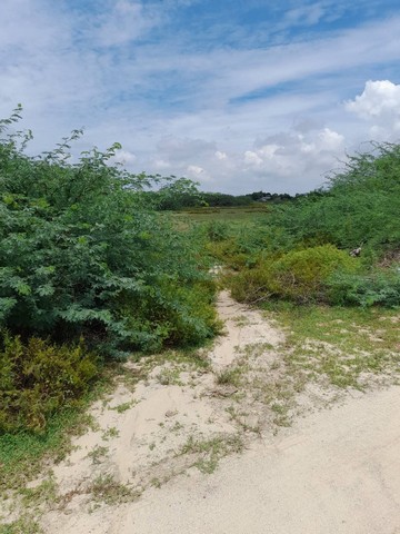 93758ขายที่ดิน2แปลง18ไร่85ตร.ว.และ3ไร่88ตร.ว.ใกล้ทะเลหาดเจ้าสำราญ เพชรบุรี