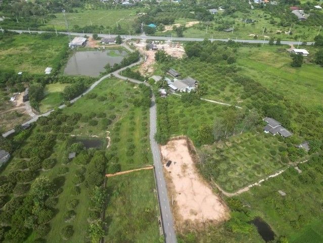 [ขาย] ที่ดินสวย ทำเลดี แบ่งขาย 4 แปลง | ถมแล้ว พร้อมสร้างบ้าน | ติดถนน มีไฟฟ้า น้ำประปา | ห่างถนนสายหลัก 200 ม.