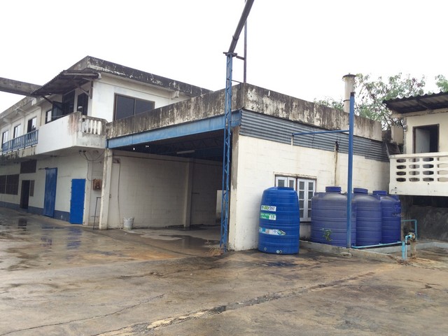 ให้เช่าโรงงาน 2-0-03ไร่ พื้นที่สีชมพู มีร.ง.4 ต. บางกระเจ้า อ. เมือง จ.สมุทรสาคร ใกล้ดูโฮม  ถนนพระราม 2