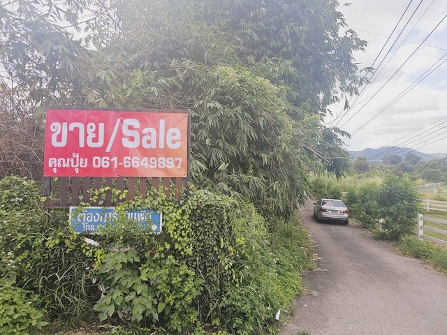 ขายที่เปล่าปากทางขึ้นเขาใหญ่ ห่างถนนมิตรภาพ 600 เมตร ใกล้แหล่งท่องเที่ยวใกล้รีสอร์ท