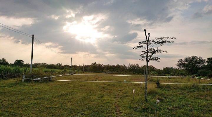 ขายทีดินเปล่า 1 ไร่  ทำเลดี วิวสวย อากาศเยี่ยม ใกล้กับสถานที่ท่องเที่ยว อำเภอปากช่อง จังหวัดนครราชสีมา 