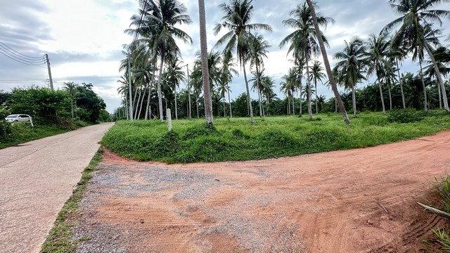 เลือกทรัพย์ดีเติมเต็มชีวิต หาดบางเบิด 10-3-74 ไร่ ไร่ล่ะ 1.5 ลบ.โฉนด พร้อมโอน ทัศนียภาพงดงาม สวยวิวดีหายากทำเลเยี่ยมคุยง่ายต่อได้ 0968821857