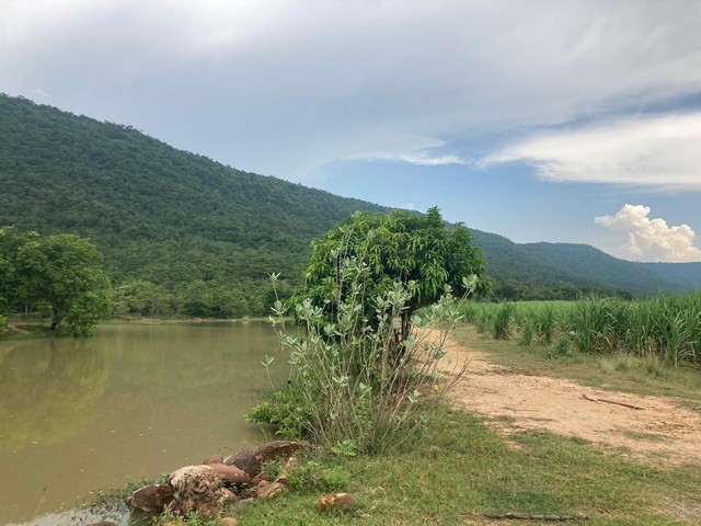 เลือกสรรทรัพย์ดีเติมเต็มชีวิต  ขายที่ดินสวยติดภูเขา เทือกเขายาวเรียงแนว ดินดีสมบูรณ์ทรัพย์ในดิน ฟ้าใสวิวหลักล้าน ต.นาจาน อ.สีชมพู จ.ขอนแก่น 