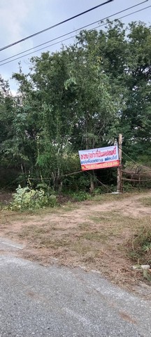 เลือกสรรทรัพย์ดีเติมเต็มชีวิต  ขายที่สวยติดทางหลวง1107 บ้านตาก จ.ตาก คมนาคมสะดวก ไร่ละ 300000 ต.ตากตก อ.บ้านตาก  จ.ตาก  0837124115