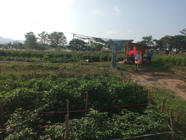 เลือกสรรทรัพย์ดีเติมเต็มชีวิต  ที่สวยติดแม่น้ำน่าน น้ำใสไหลรินตลอดปี  ต.ศรีภูมิ อ.ท่าวังผา จ.น่าน ขาย 800000  วิวดีสวยมาก 0968821857