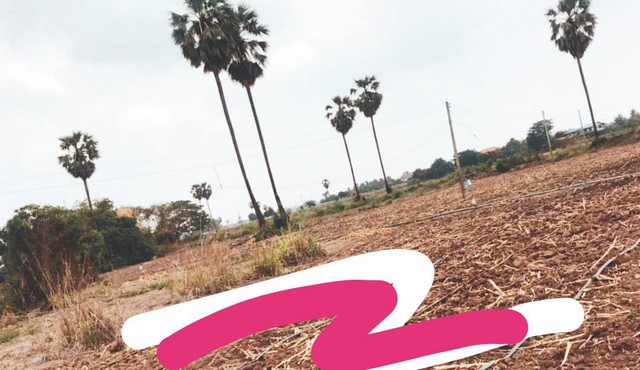 เลือกสรรทรัพย์ดีเติมเต็มชีวิต  ขายที่สวยติดแม่น้ำน่าน ชุมแสง  จ.นครสวรรค์ 300000 บาท.วิวแม่น้ำเกษตรดีงามสวยสมบูรณ์