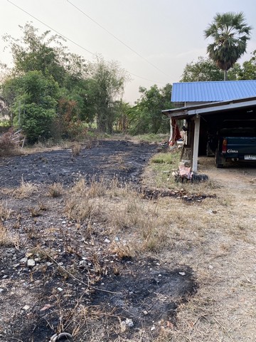 เลือกสรรทรัพย์ดีเติมเต็มชีวิต  ขายบ้านไม้ จ.สิงห์บุรี  วิถีไทย  ต.โพทะเล วิถีไทย 262 วา ต.โพทะเล อ.ค่ายบางระจัน สิงห์บุรี 500000บาท