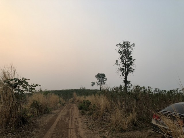 เลือกสรรทรัพย์ดีเติมเต็มชีวิต  ด้วยทรัพย์ดีทวีมูลค่า ธรรมชาติเนินเขา ที่ดินโฉนดแบ่งขาย หล่มเก่า เพชรบูรณ์ ใกล้ภูทับเบิก โทร 0968821857