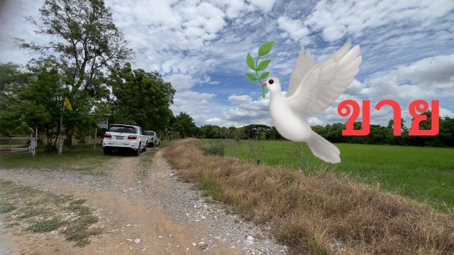 ขายที่ดิน 4 ไร่ครึ่ง ใกล้แยกสันมะค่า ต.บัวลอย อ.หนองแค จ.สระบุรี 2.025 ล้าน