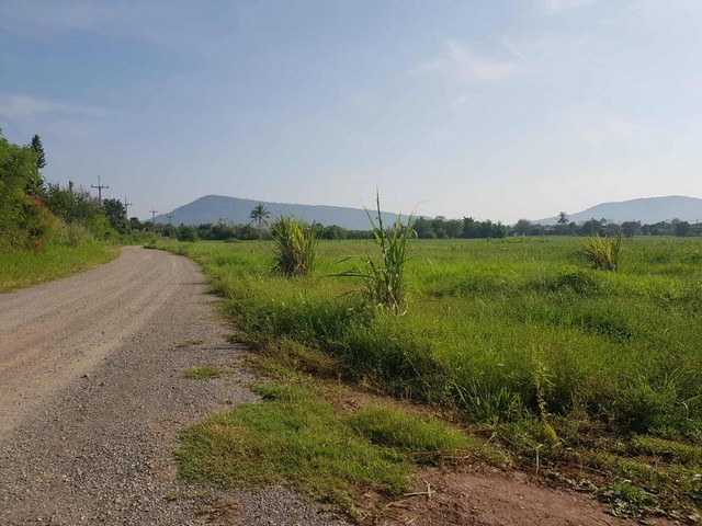 ทำเลเงื่อนไขซื้อขายสิ่งสำคัญ ขายที่ดินปากช่อง 2ไร่- 8ไร่ โฉนด ต.วังไทร อ.ปากช่อง จ.นครราชสีมา ไร่ละ  2.9 ลบ.สูงจากระดับน้ำทะเลมา น้ำไฟพร้อม