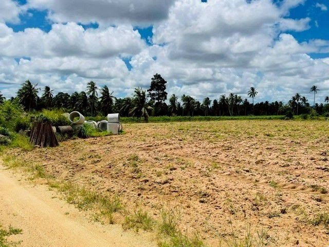 ขายที่ดินเปล่าแปลงสวย 4 ไร่ 2 งาน พิกัดทุ่งกลมตาลหมัน ตำบลห้วยใหญ่ อำเภอบางละมุง  ชลบุรี