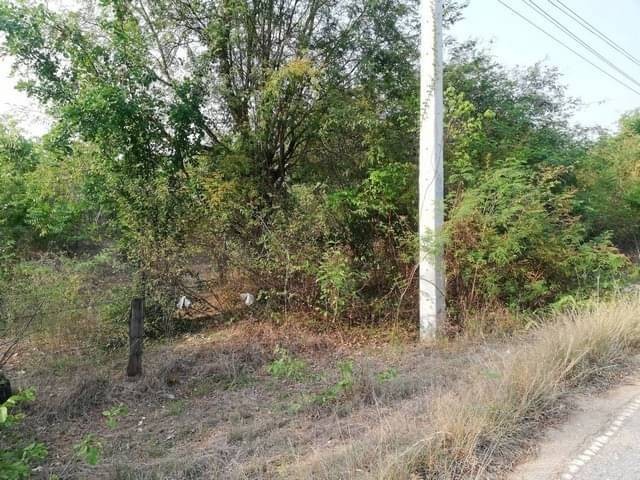 ทำเลเงื่อนไขซื้อขายสิ่งสำคัญ ขายที่สวยติดทางหลวง1107 บ้านตาก จ.ตาก คมนาคมสะดวก ไร่ละ 300000 ต.ตากตก อ.บ้านตาก  จ.ตาก  0837124115