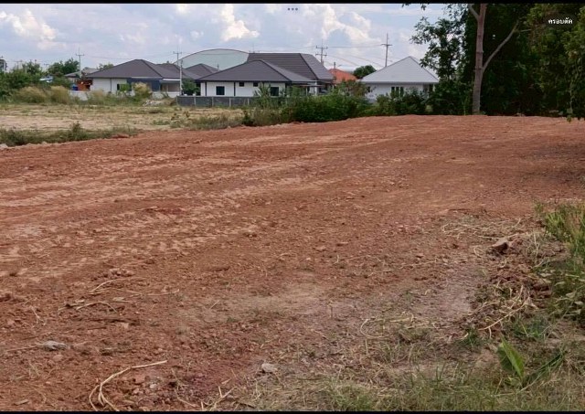 ขายที่ดินเปล่า ถมแล้ว เนื้อที่ 200 ตร.ว. แปลงริมติดถนน 2 ด้าน ใจกลางเมืองชัยภูมิ ใกล้ถนนใหญ่สาย 2051 อำเภอเมือง จังหวัดชัยภูมิ