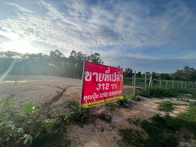 ขายที่หัวหิน ขายที่เปล่านาตาช้าง1  ติดถนนทางหลวงหัวนาทับใต้