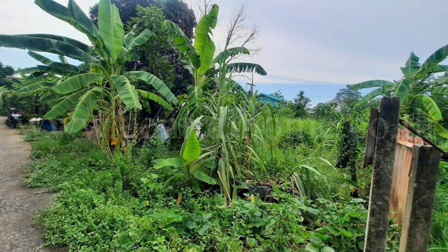 ที่ดินเปล่า 100 ตร.วา หลักหก ปทุมธานี ใกล้สนามบินดอนเมือง
