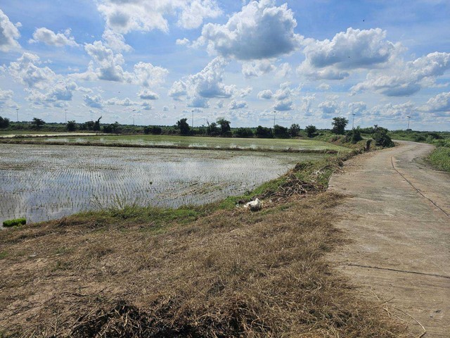 ขายที่เปล่าติดถนนบ้านแพรก จ.อยุธยา ใกล้ศกร.ตำบลสำพะเนียง