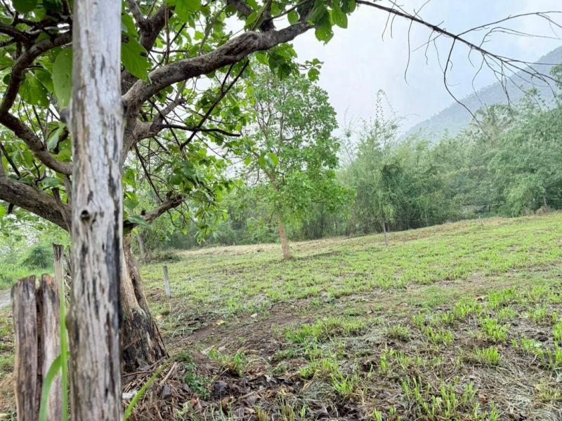 ขายที่ดินวิวสวยเพียง 1.3 ล. #โซนแม่ออน พื้นที่ 1 ไร่ 1 งานกว่า ที่ดินสวย บรรยากาศดี เงียบสงบ เหมาะสำหรับปลูกบ้าน พักผ่อน หรือทำโฮมสเตย์