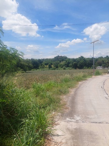 ขายที่ดินสวยแปลงเล็กระยอง ผังม่วงลาย บนเนื้อที่ 5 ไร่ถนนคอนกรีต ห่างจาก ท่าเรือแหลมฉบัง 29 กม 