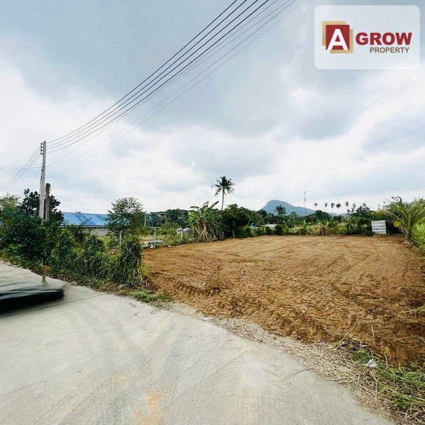 ขายที่ดิน ขนาด 126 ตร.ว. บางเสร่ ชลบุรี วิวภูเขาสวยๆ ติดสวนนงนุช เหมาะสำหรับสร้างบ้านขายหรือพักผ่อน