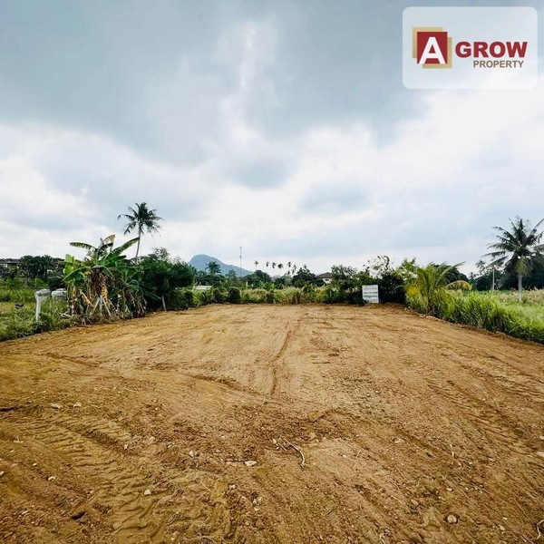 ขายที่ดิน ขนาด 126 ตร.ว. บางเสร่ ชลบุรี วิวภูเขาสวยๆ ติดสวนนงนุช เหมาะสำหรับสร้างบ้านขายหรือพักผ่อน