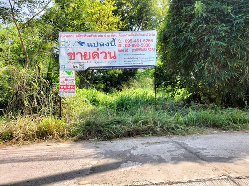 ที่ดินเปล่า 1-1-88.4 ไร่ ติดถนน 3 ด้าน ต.เมืองปัก อ.ปักธงชัย จ.นครราชสีมา 