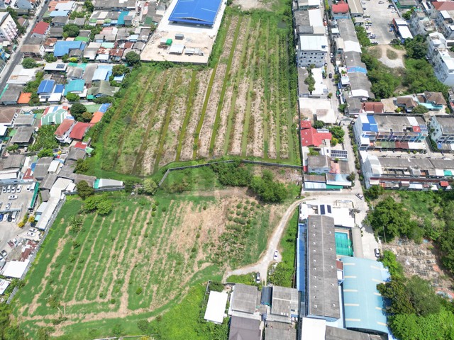 ขายที่ดิน ปากน้ำ สมุทรปราการ 3 งาน 61 ตร.ว. (สุขุมวิท8) ใกล้เทศบาลสมุทรปราการ