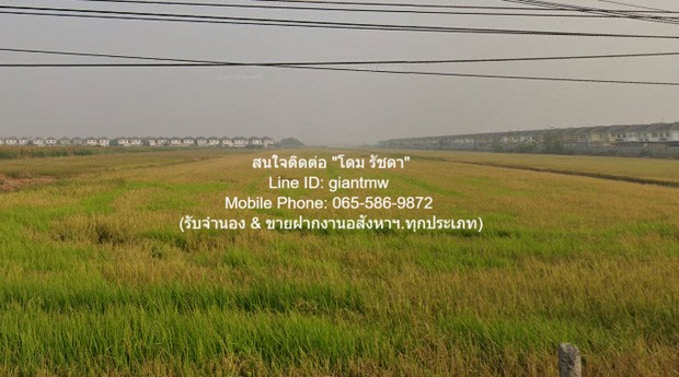 พื้นที่ดิน ให้เช่าระยะยาวที่ดินแปลงใหญ่ 38-2-94 ไร่ ติดถนนพหลโยธิน-ลำลูกกา (คลอง 7) ราคา 580,000 บาท/เดือน  580000 BAHT ใกล้ โรงเรียนเตรียมอุดมศึกษาพัฒนาการ ปทุมธานี ราคาพิเศษ ที่ดินทรงสี่เหลี่ยมแปลงใหญ่ ติดถนนใหญ่ อยู่ใกล้แห่งอำนวยความสะดวกในทุกมิติ