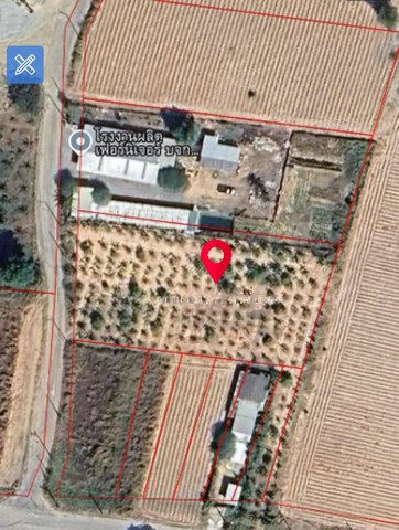 ขาย! ที่ดินเปล่า ศรีราชา ติดถนน วิวเขา สวนเสือ - หนองเลง ซอย9 TP-L1382