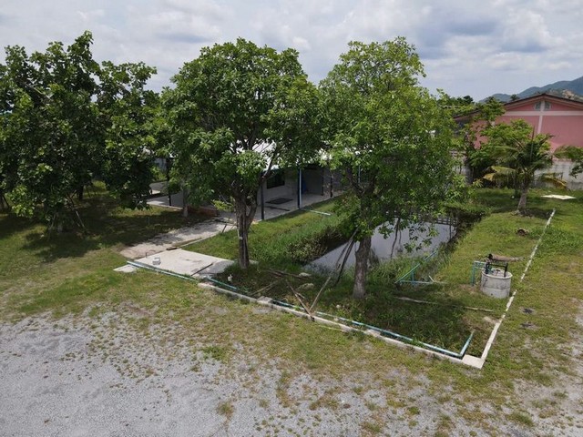 ขายบ้าน พร้อมที่ดินแปลงสวย ใกล้ถนนข้าวหลาม บางแสน TP-L1381