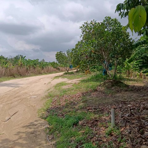 ขายที่ดินเปล่า แปลงใหญ่ 30ไร่ ติดถนน บ่อวิน ศรีราชา TP-L1376