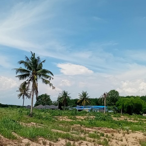 ขายที่ดินติดถนนเนื้อเนื้อที่ 6 ไร่ อ.นิคมพัฒนา จะ.ระยองถนนสาย 13 ที่ดินแปลงสวยๆทำเลทอง 