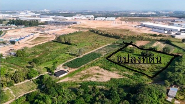 ขายที่ดินสีม่วงลายทำเลทองใกล้นิคมพัฒนา จ.ระยอง ขาย 6 ไร่ 58 ตร.ว. เหมาะทำโรงงาน โกดัง คลังสินค้า หรือเก็บไว้ลงทุน